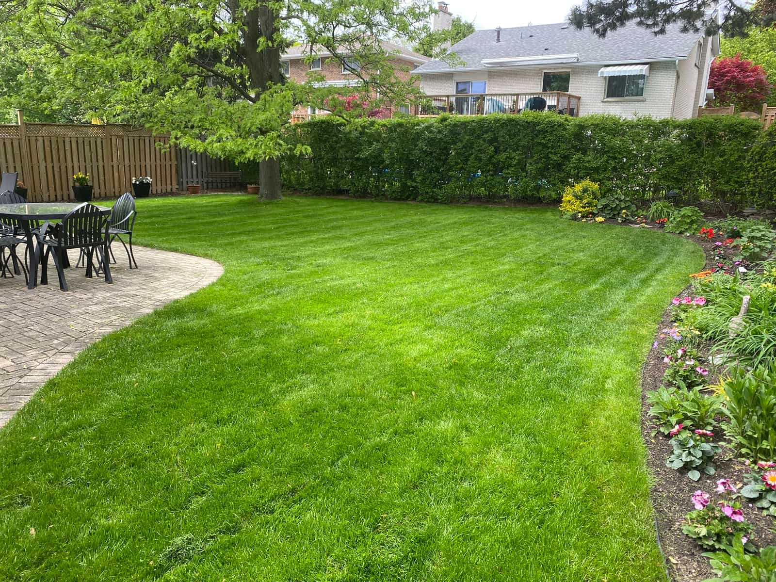 A freshly striped backyard lawn